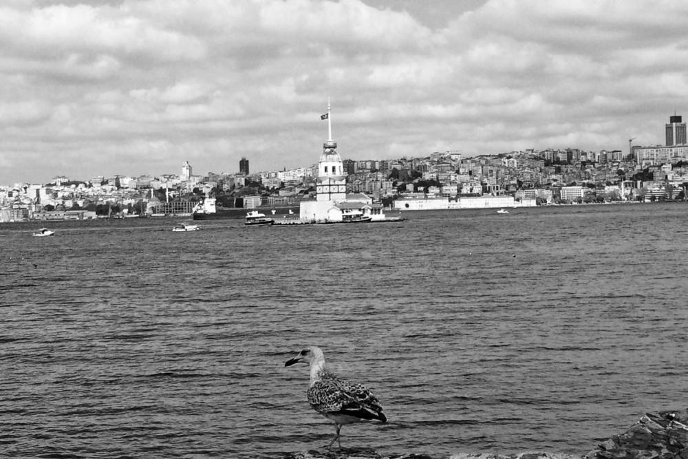Martı Olmak İsterdim…