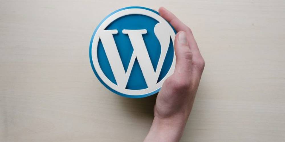 WordPress Nedir? WordPress Ne İşe Yarar?